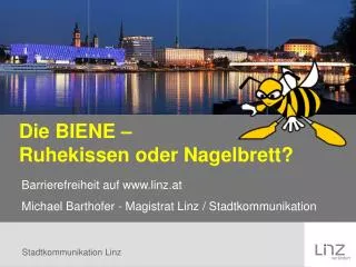 die biene ruhekissen oder nagelbrett