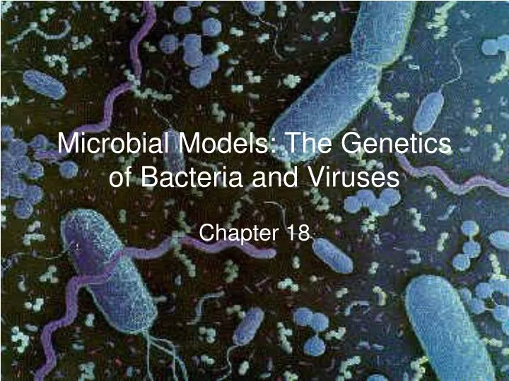 microbial models the genetics of bacteria and viruses