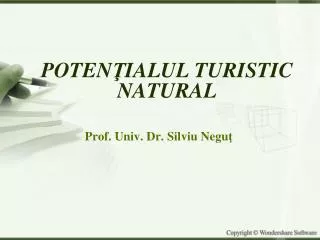 prof univ dr silviu negu