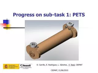 Progress on sub-task 1: PETS