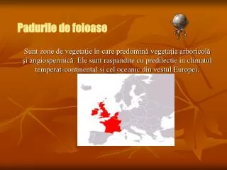 padurile de foioase