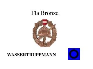 fla bronze