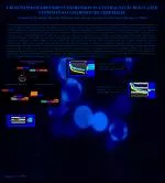 Growth Phase-Dependent Expression in a Tetracycline-Regulated System in Saccharomyces cerevisiae - slide 1
