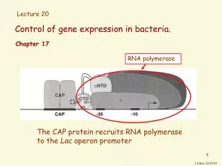 Control of gene expression in bacteria.