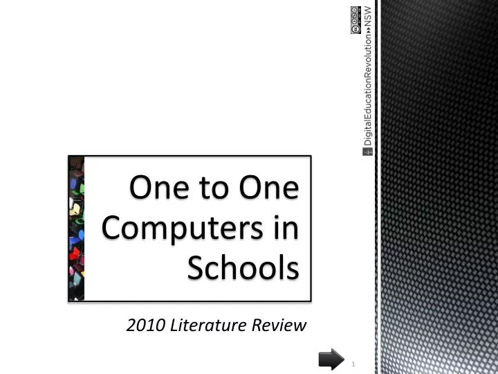 2010 literature review
