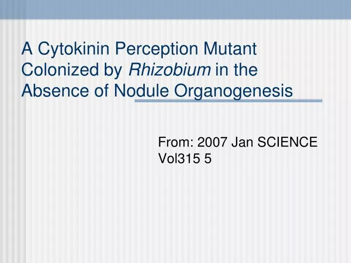 a cytokinin perception mutant colonized by rhizobium in the absence of nodule organogenesis