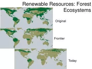 Renewable Resources: Forest Ecosystems