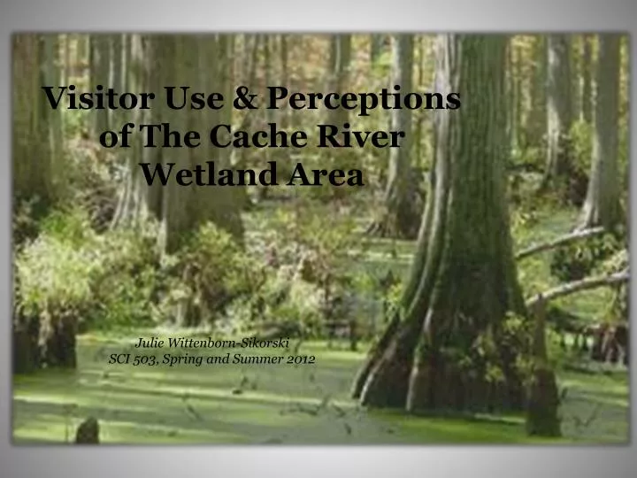 visitor use perceptions of the cache river wetland area