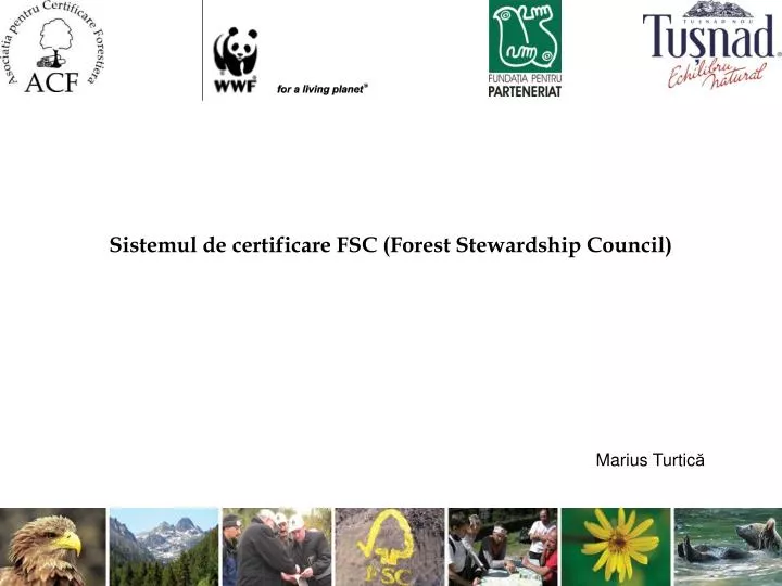 sistemul de certificare fsc forest stewardship council