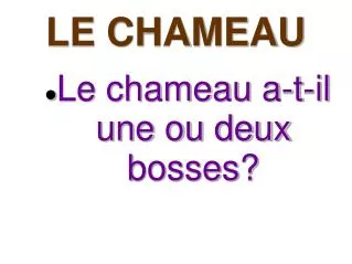 le chameau