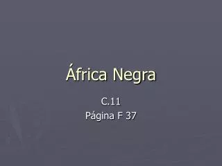 frica negra