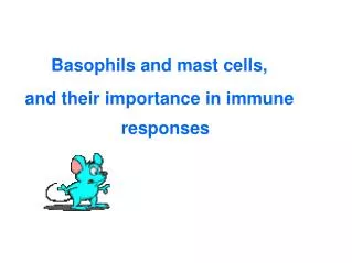 Basophils and mast cells, and their importance in immune responses