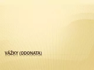 v ky odonata
