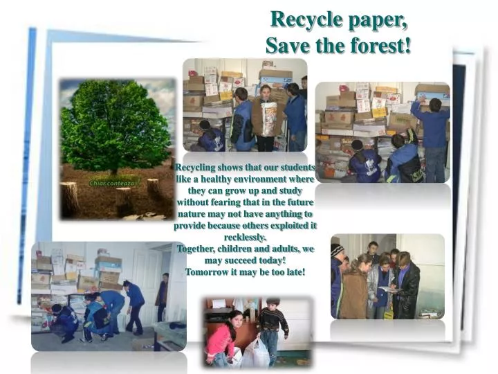 recycle paper save the forest