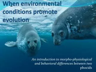 When environmental conditions promote evolution