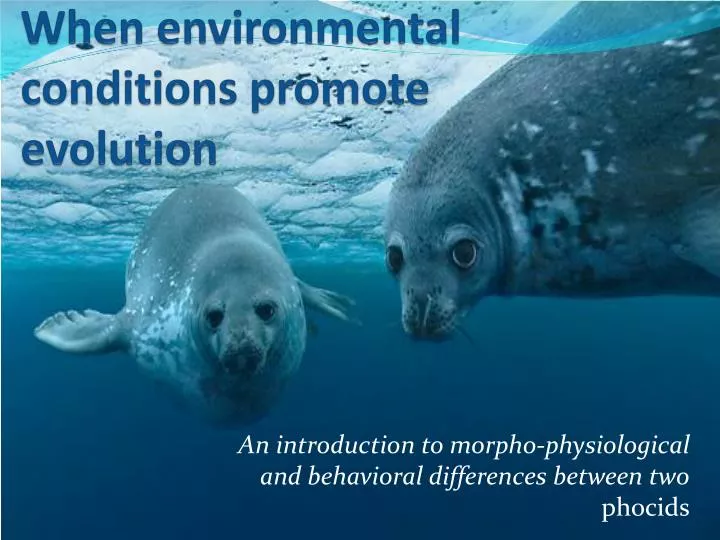 when environmental conditions promote evolution