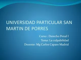 universidad particular san martin de porres