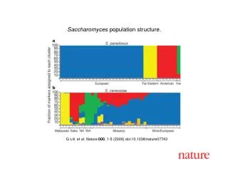 G Liti et al. Nature 000 , 1-5 (2009) doi:10.1038/nature07743