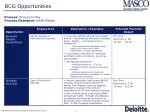 BCG Opportunities - slide 1