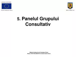 5 panelul grupului consultativ