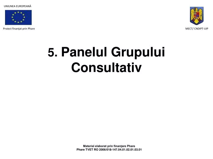 5 panelul grupului consultativ