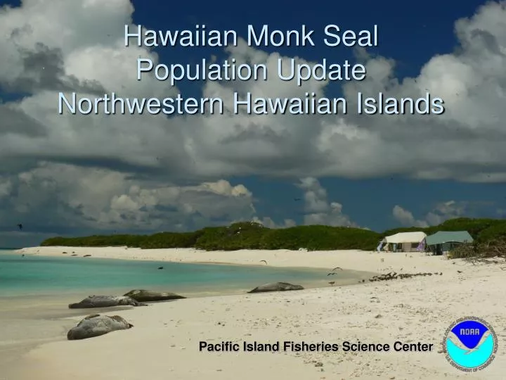 hawaiian monk seal population update northwestern hawaiian islands
