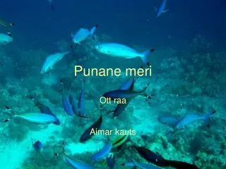punane meri