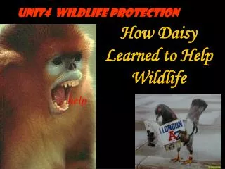 How Daisy Learned to Help Wildlife