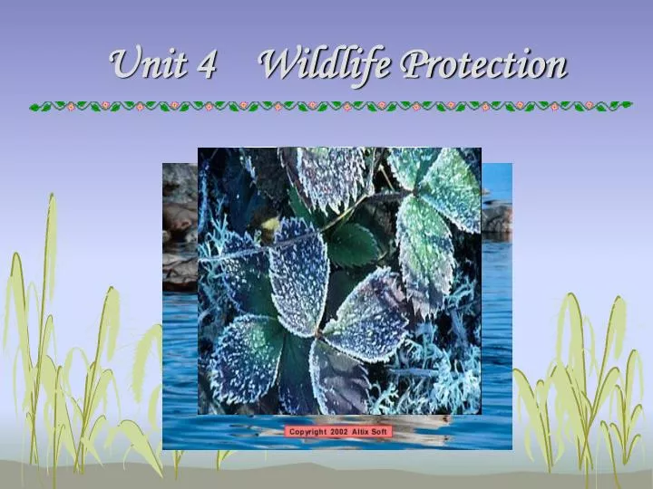 unit 4 wildlife protection