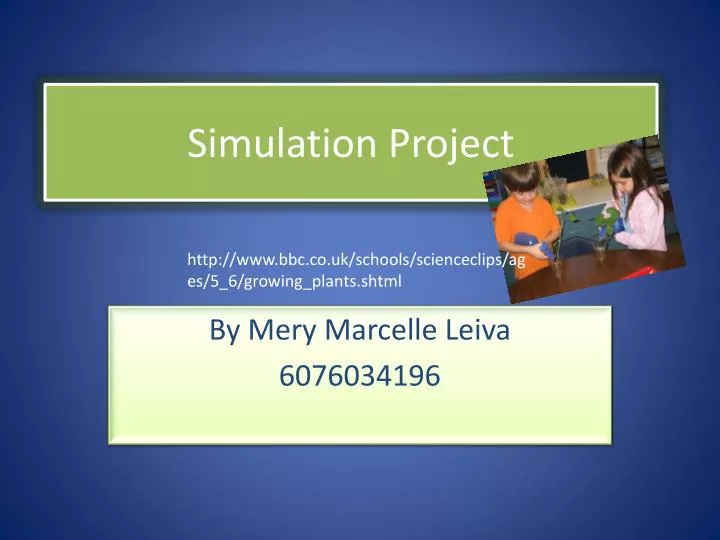 simulation project