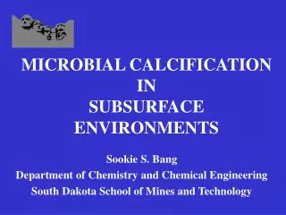 MICROBIAL CALCIFICATION IN SUBSURFACE ENVIRONMENTS