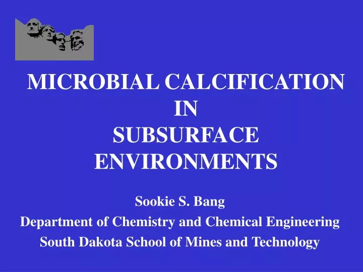 microbial calcification in subsurface environments