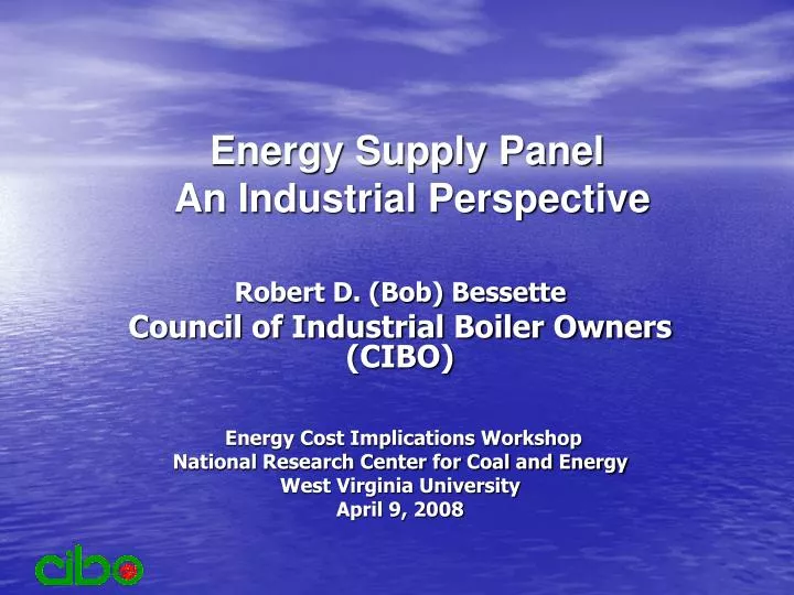 energy supply panel an industrial perspective