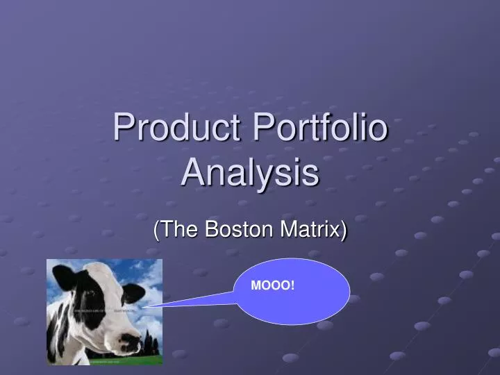 product portfolio analysis
