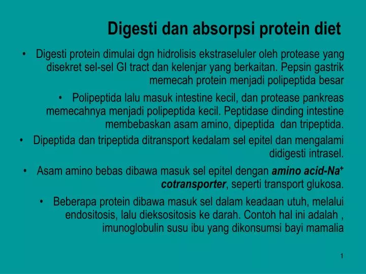 digesti dan absorpsi protein diet