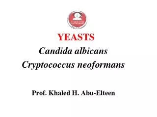 YEASTS Candida albicans Cryptococcus neoformans Prof. Khaled H. Abu-Elteen