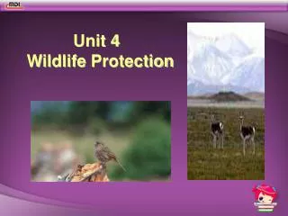 Unit 4 Wildlife Protection