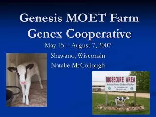 Genesis MOET Farm Genex Cooperative