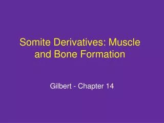 Somite Derivatives: Muscle and Bone Formation