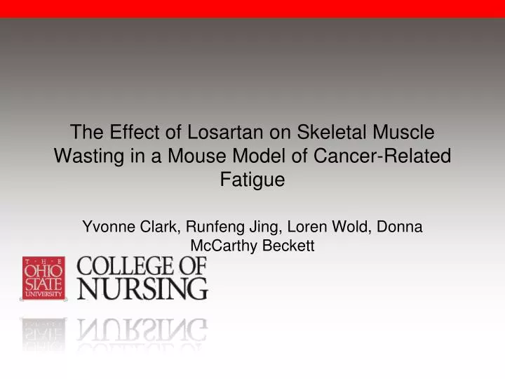 the effect of losartan on skeletal muscle wasting in a mouse model of cancer related fatigue