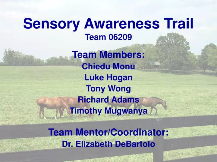 sensory awareness trail team 06209