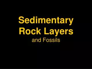 Sedimentary Rock Layers and Fossils