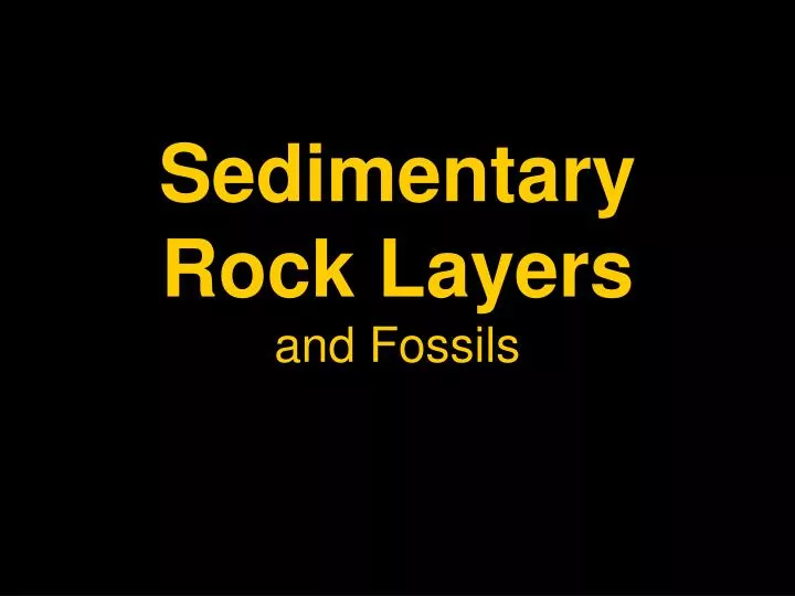 sedimentary rock layers and fossils