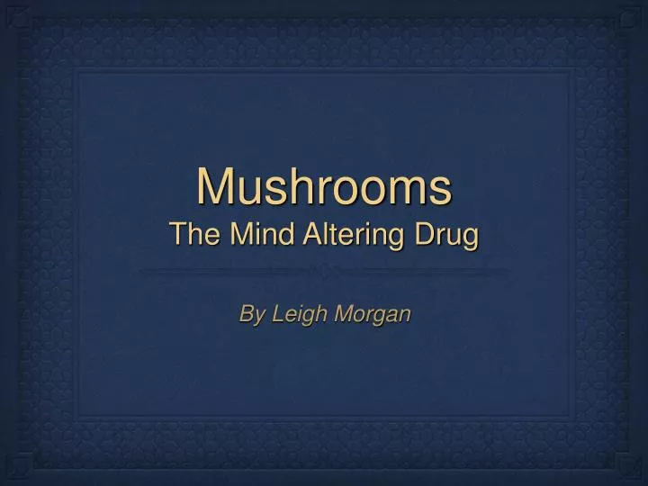 mushrooms the mind altering drug