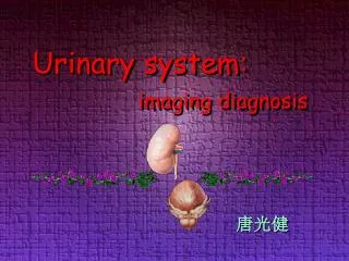 Urinary system: imaging diagnosis