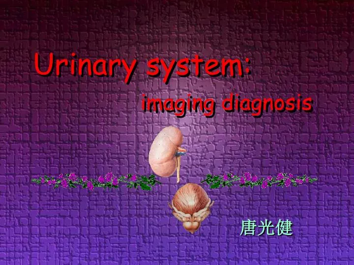 urinary system imaging diagnosis