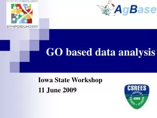 GO based data analysis