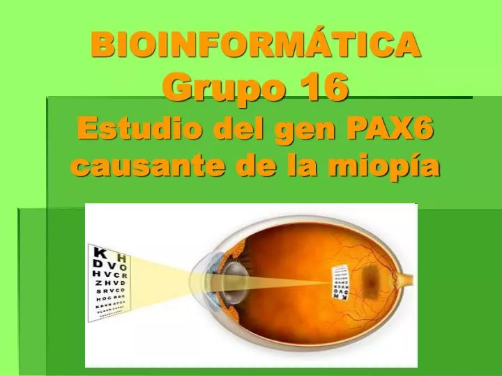 bioinform tica grupo 16 estudio del gen pax6 causante de la miop a