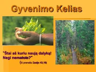 gyvenimo kelias