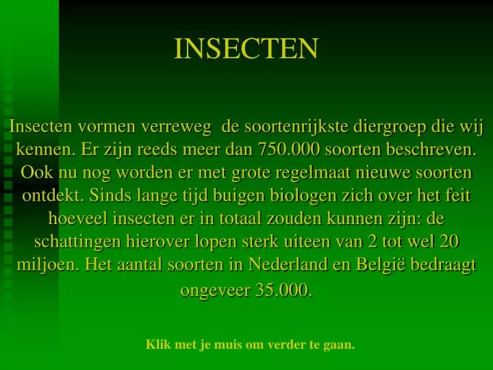 insecten